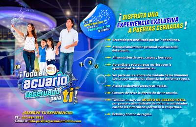 Acuario MICHIN ofrece experiencias a puertas cerradas para apoyar en la preservación de especies 