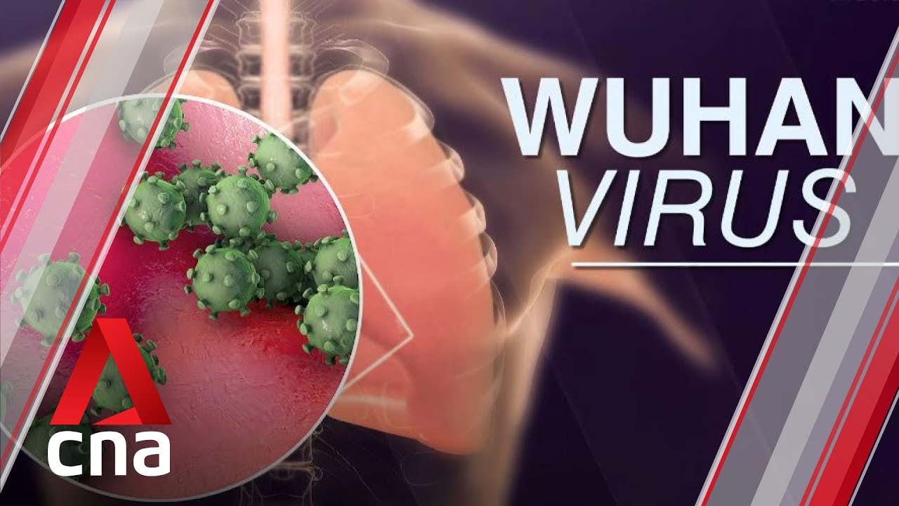 OMS comienza investigación en Wuhan donde se originó el coronavirus