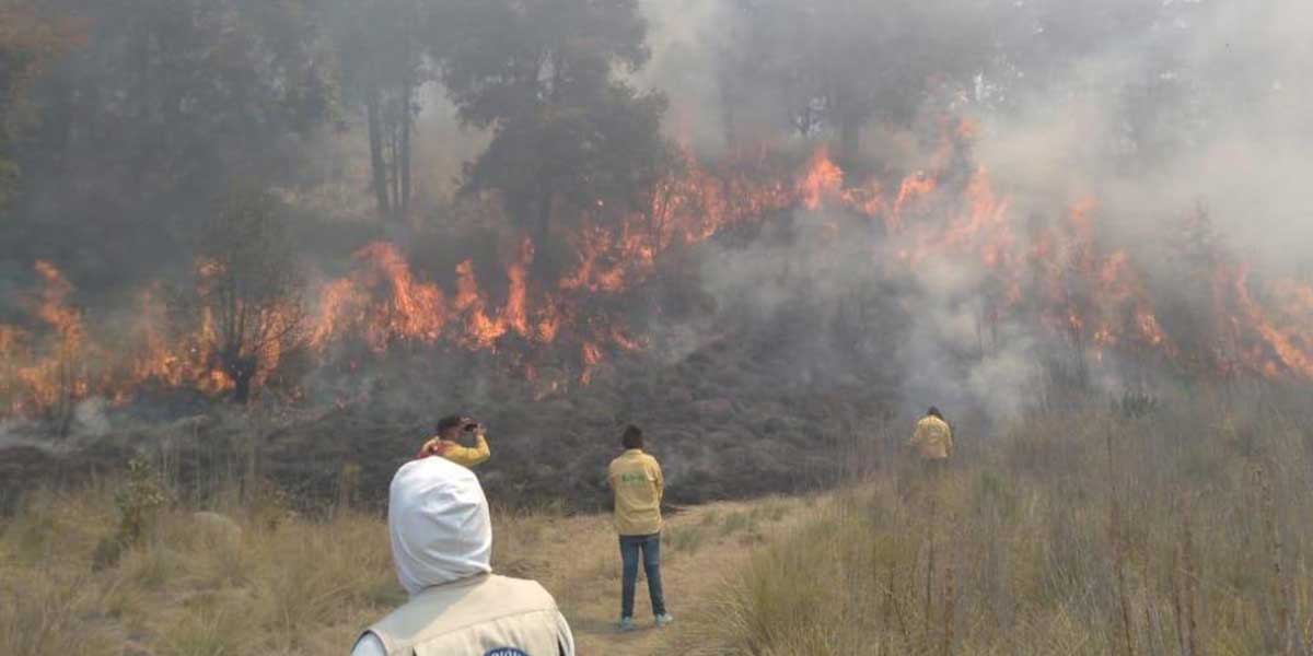 Incendios en reserva Tehuacán-Cuicatlán; en Tetela de Ocampo afectan 361 hectáreas