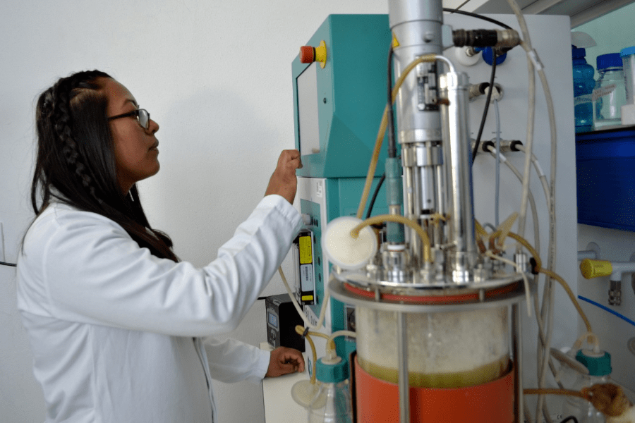Anuncian regreso a clases presenciales para estas licenciaturas