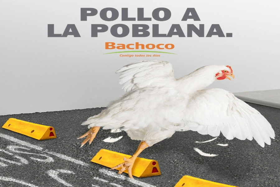 Bachoco y la ciclovía que hizo una burla de los poblanos