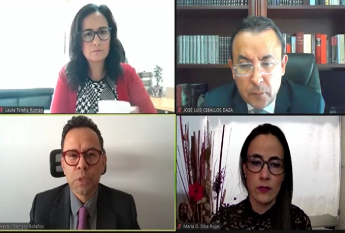 Garmendia, Evangelista, Tonantzin y Mier hija se quedan sin diputación «pluri» tras fallo del TEPJF