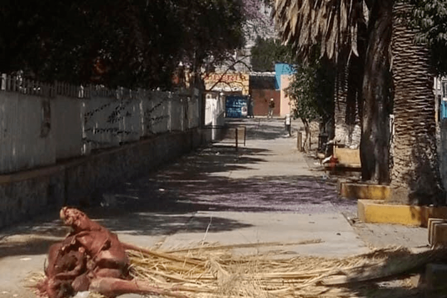 4 mil escuelas en Puebla serán intervenidas para el regreso a clases