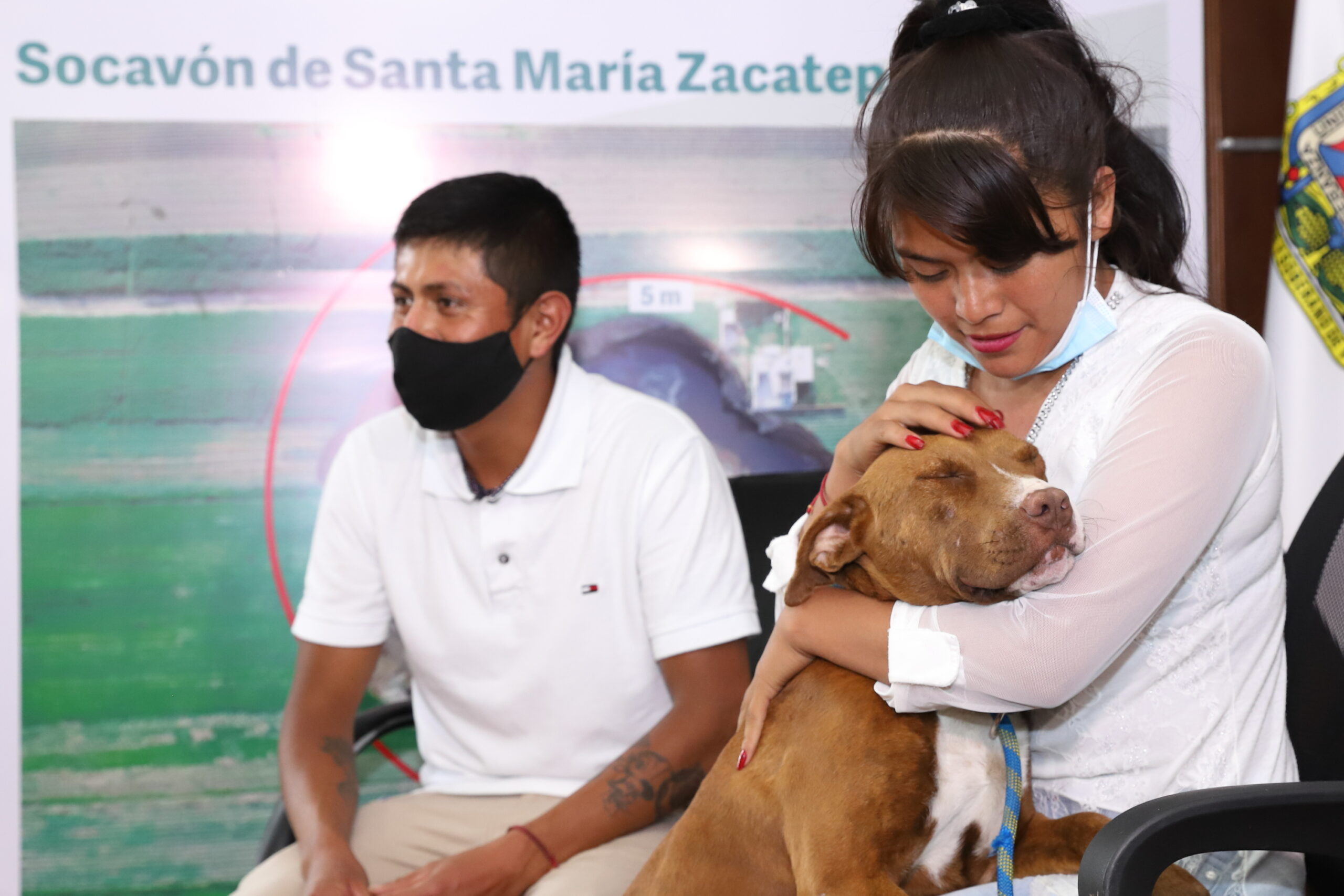 “Spay”, el can que cayó al socavón fue entregado a su familia