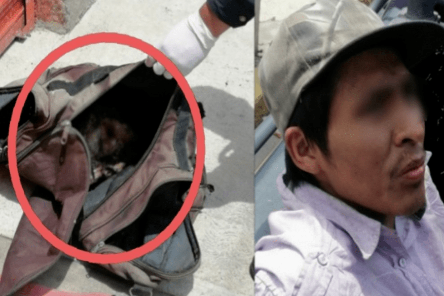 Hombre en Valle de Chalco transportaba en su mochila una cabeza humana en descomposición