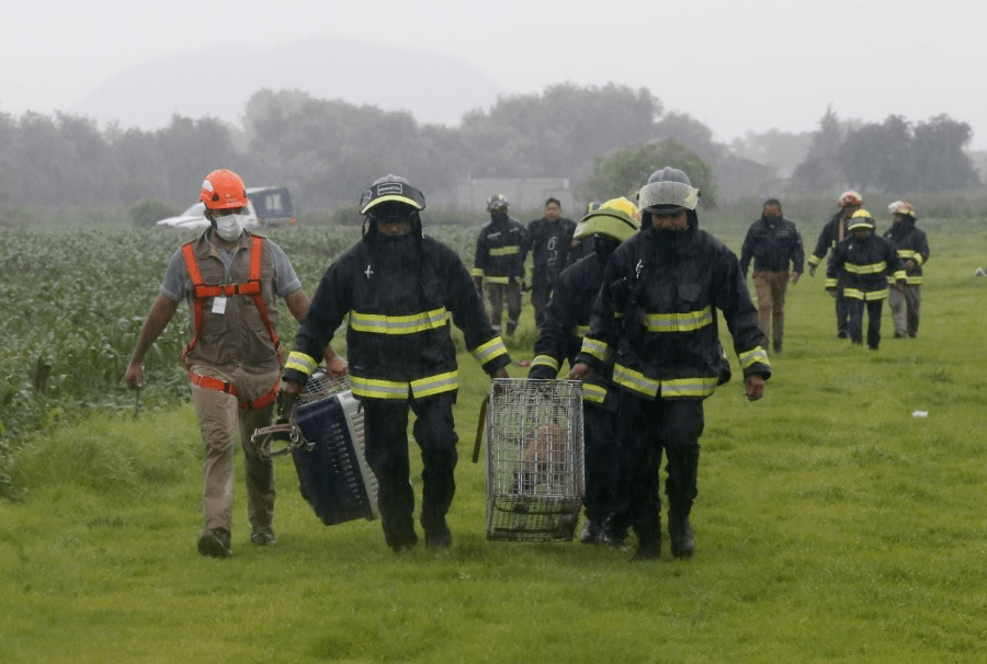 Los héroes fueron Protección Civil y Bomberos Puebla (imágenes)