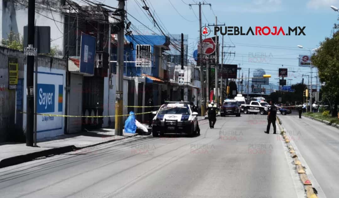 Hombre se quita la vida ahorcándose en la vía pública en Mayorazgo
