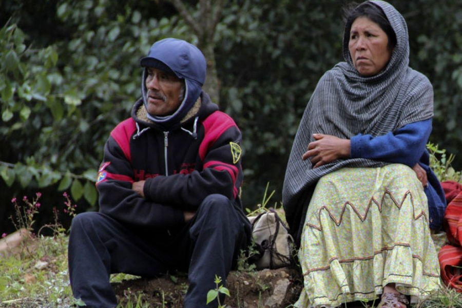 Resultados del Coneval reflejan la crisis que se vive por la pandemia: Barbosa