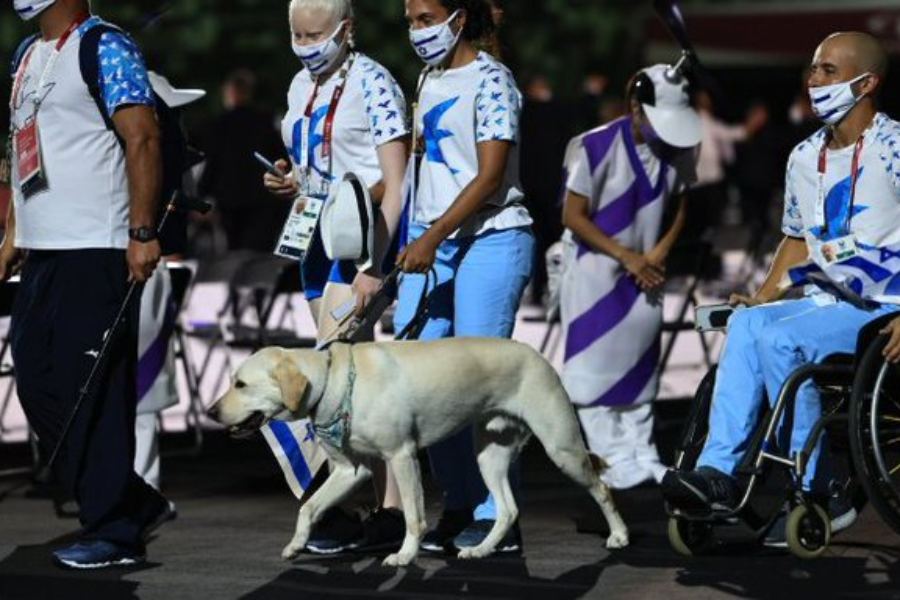 Enternecen los perros guías en la inauguración de los Juegos Paralímpicos