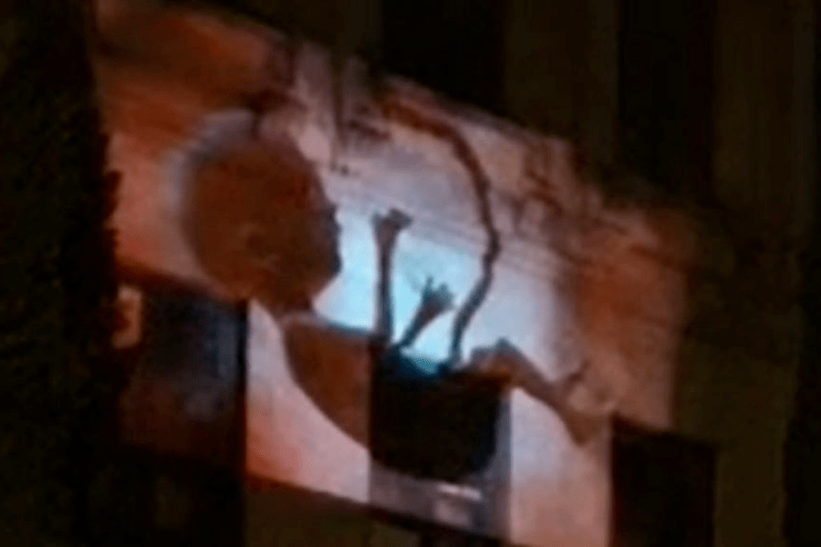 Proyectan la imagen de un feto en la fachada de la Suprema Corte