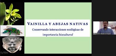 Seis de cada diez cultivos de Puebla dependen del trabajo de un polinizador
