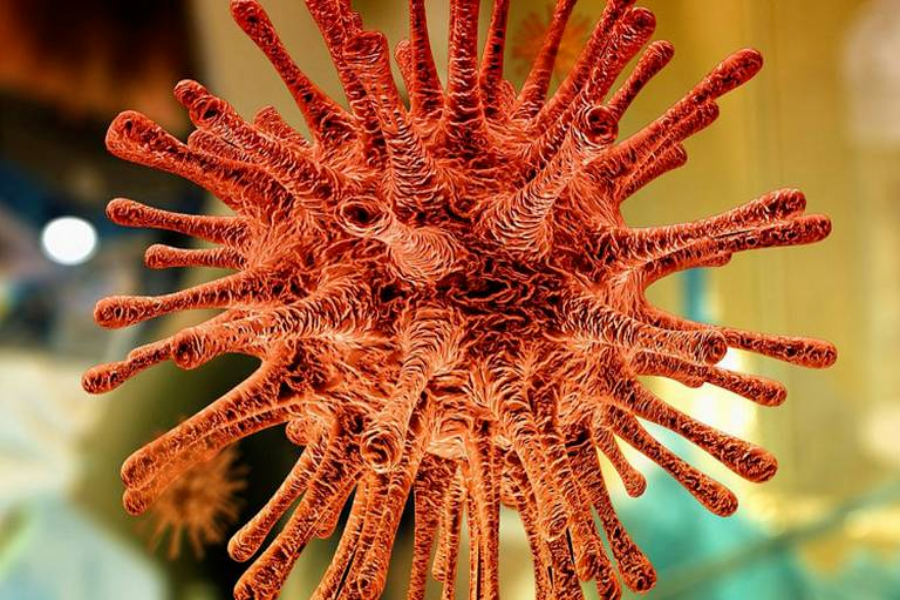 Alerta en el mundo por la nueva variante Omicron del coronavirus