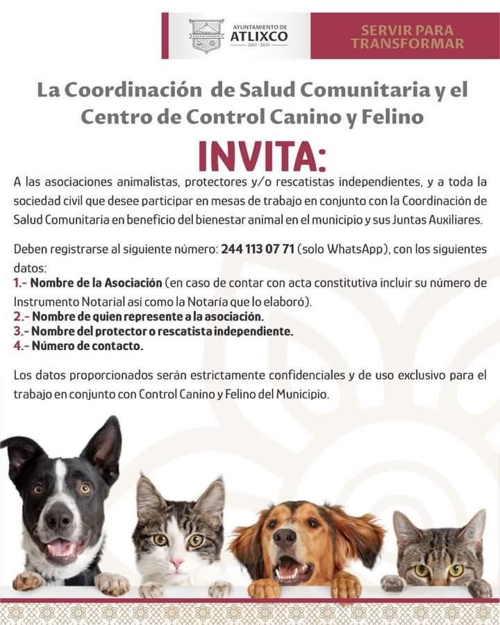 Ayuntamiento de Atlixco emprende acciones en favor del bienestar animal