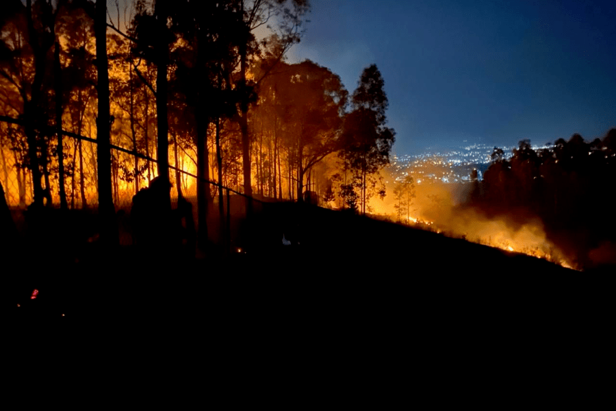 Bomberos de San Pedro sofocan incendio en el Cerro Zapotecas