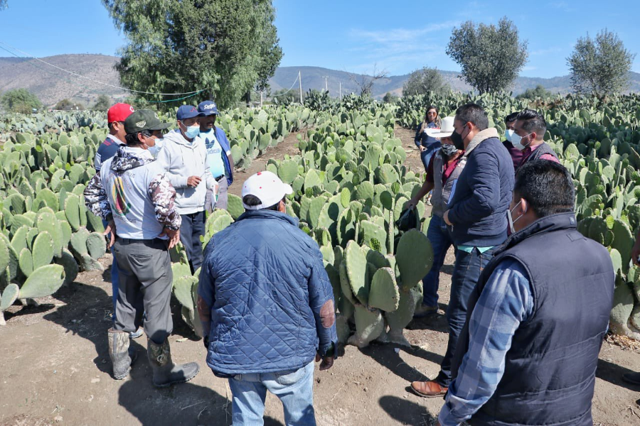 Atiende Gobierno a familias de Tlachichuca y Acatzingo afectadas por la caída de aguanieve