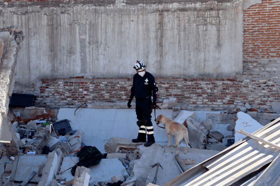 Rescatan a 15 personas tras el colapso de un edificio en la colonia Amor