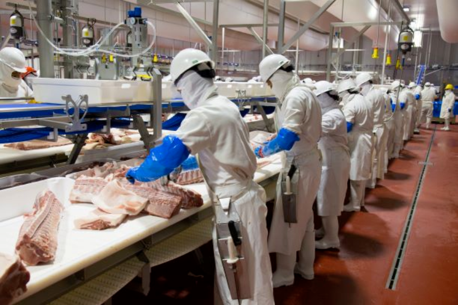 Granjas Carroll incrementa 45 %´su venta de carne pese a la pandemia
