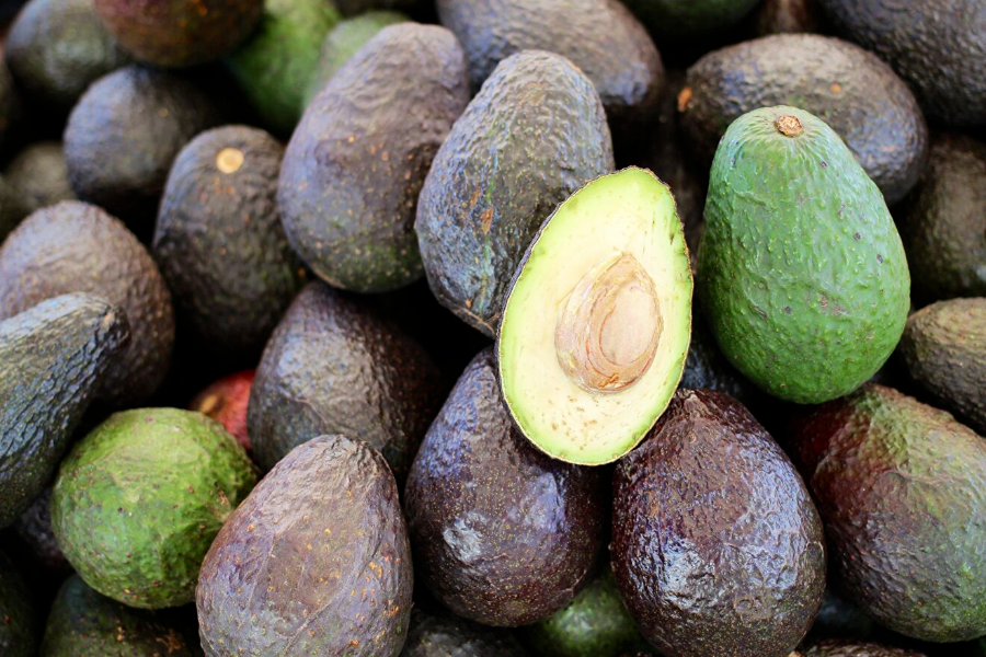 Buscarán que aguacate poblano se incluya en el TMEC