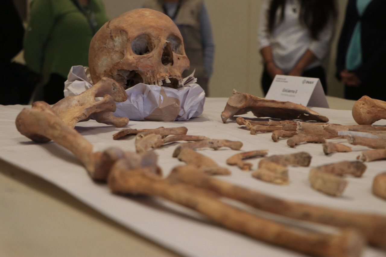 Encuentran restos humanos en el extemplo de San Javier, junto al Paseo Bravo