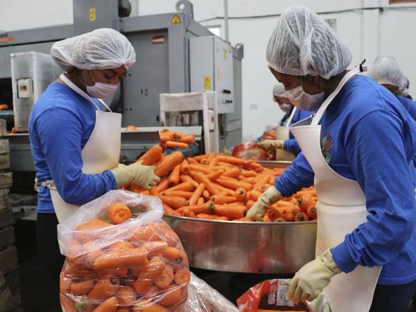 2021, año récord para Puebla en exportaciones de textiles, prendas y agricultura: Economía 