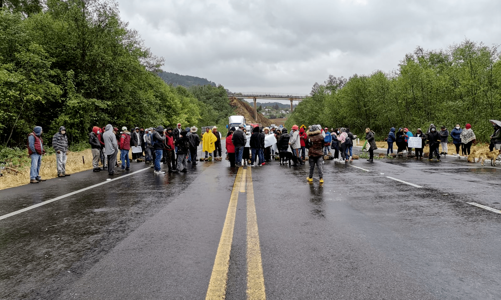 No permitiremos que el cierre de las carreteras sea el común denominador en las protestas: Barbosa