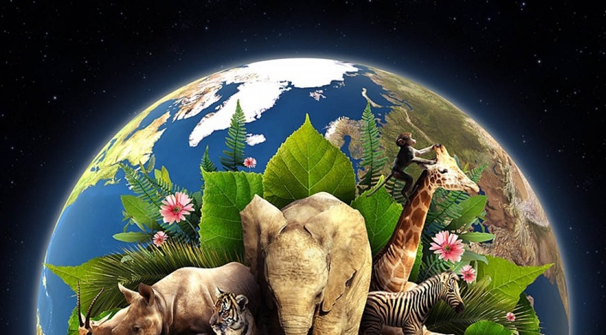Día de la Tierra: ¿cuándo es, por qué se fundó y desde cuándo se conmemora?