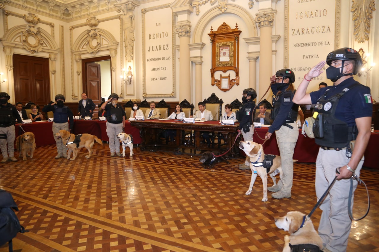 Se jubilan 16 lomitos que sirvieron fielmente a la Policía Municipal de Puebla