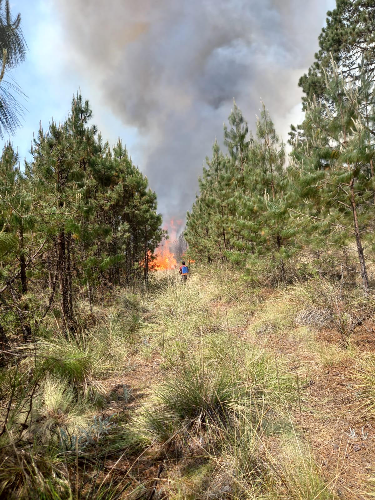 Alcalde de Xiutetelco promete mano dura contra quienes provocaron los incendios forestales