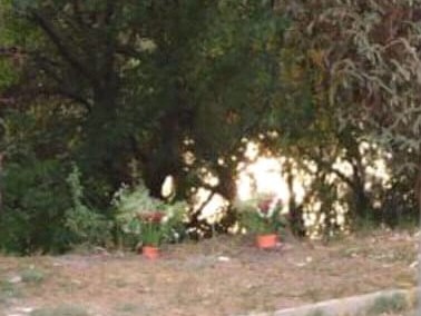 Se robaron las cruces de los hermanos Sill; estaban en el lugar donde encontraron sus cadáveres