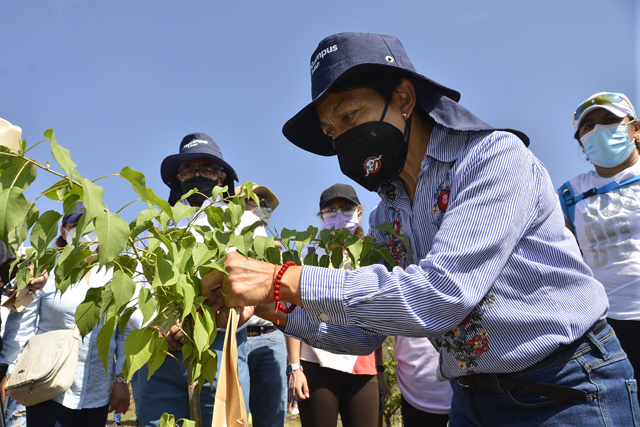 La Rectora Lilia Cedillo encabeza la reforestación del Memorial COVID-19