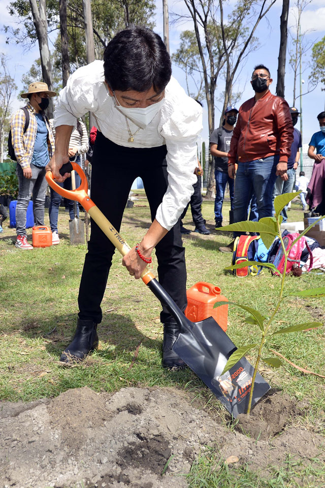 Encabeza la Rectora Lilia Cedillo jornada simultánea de reforestación 