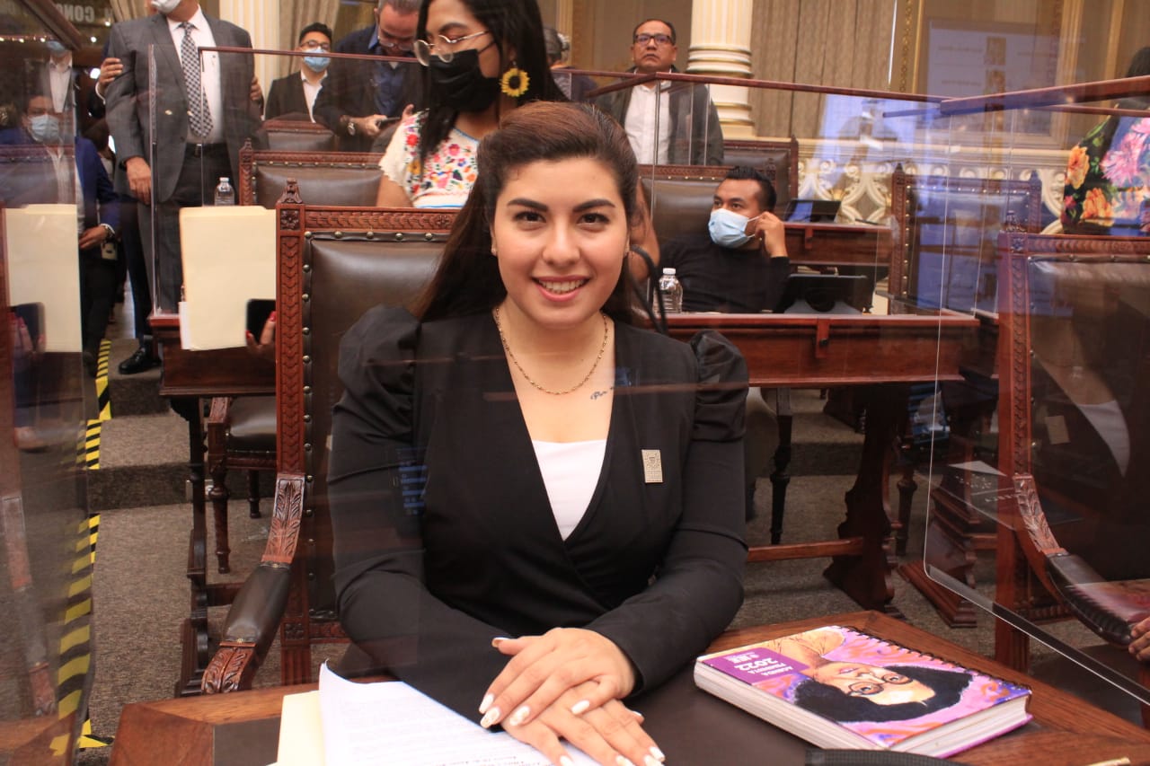 Diputada pide mayor vigilancia para colonias de la capital