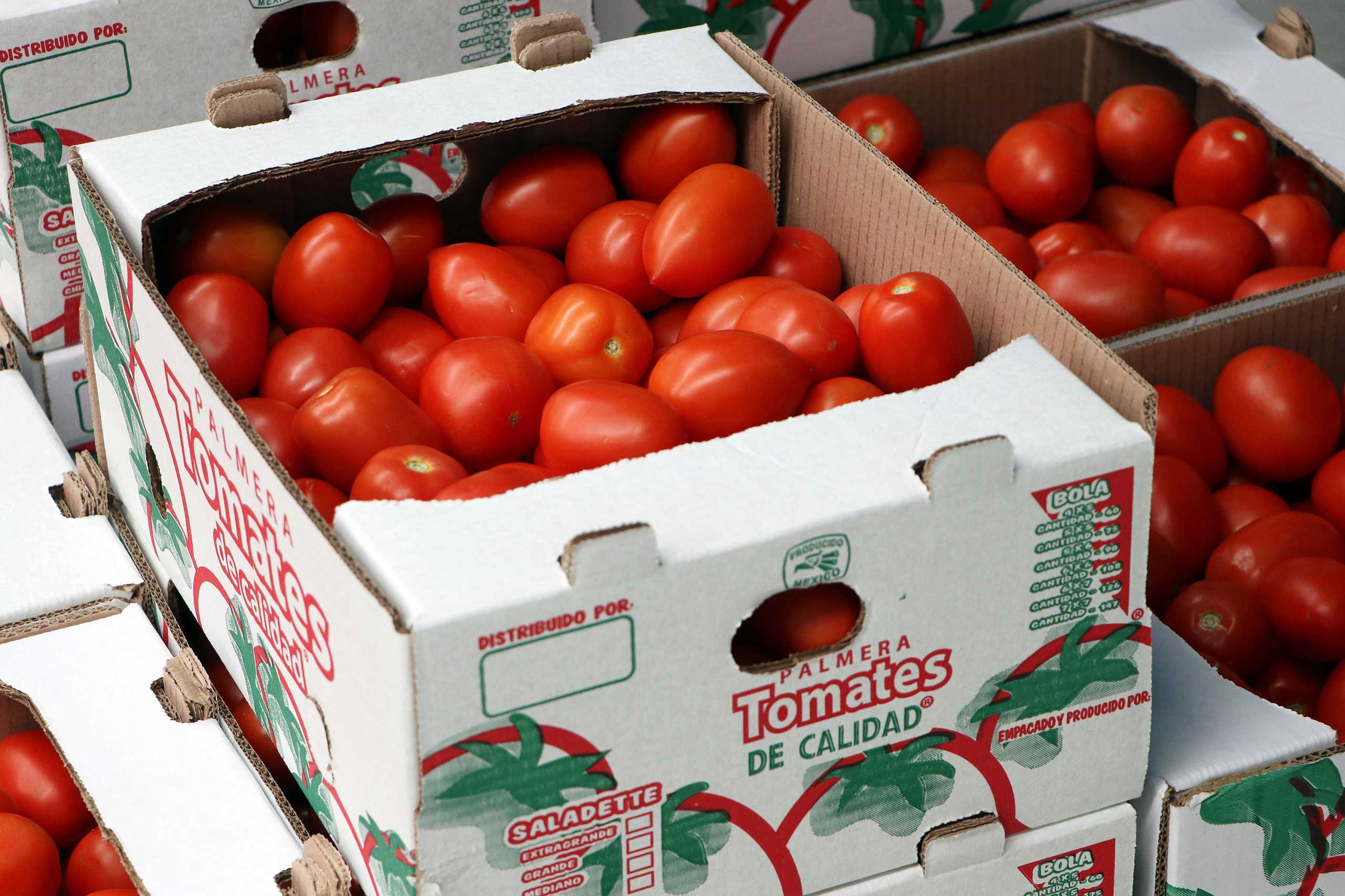 Productores de tomate en la Sierra Norte exportaron un primer embarque de tomate a Oklahoma