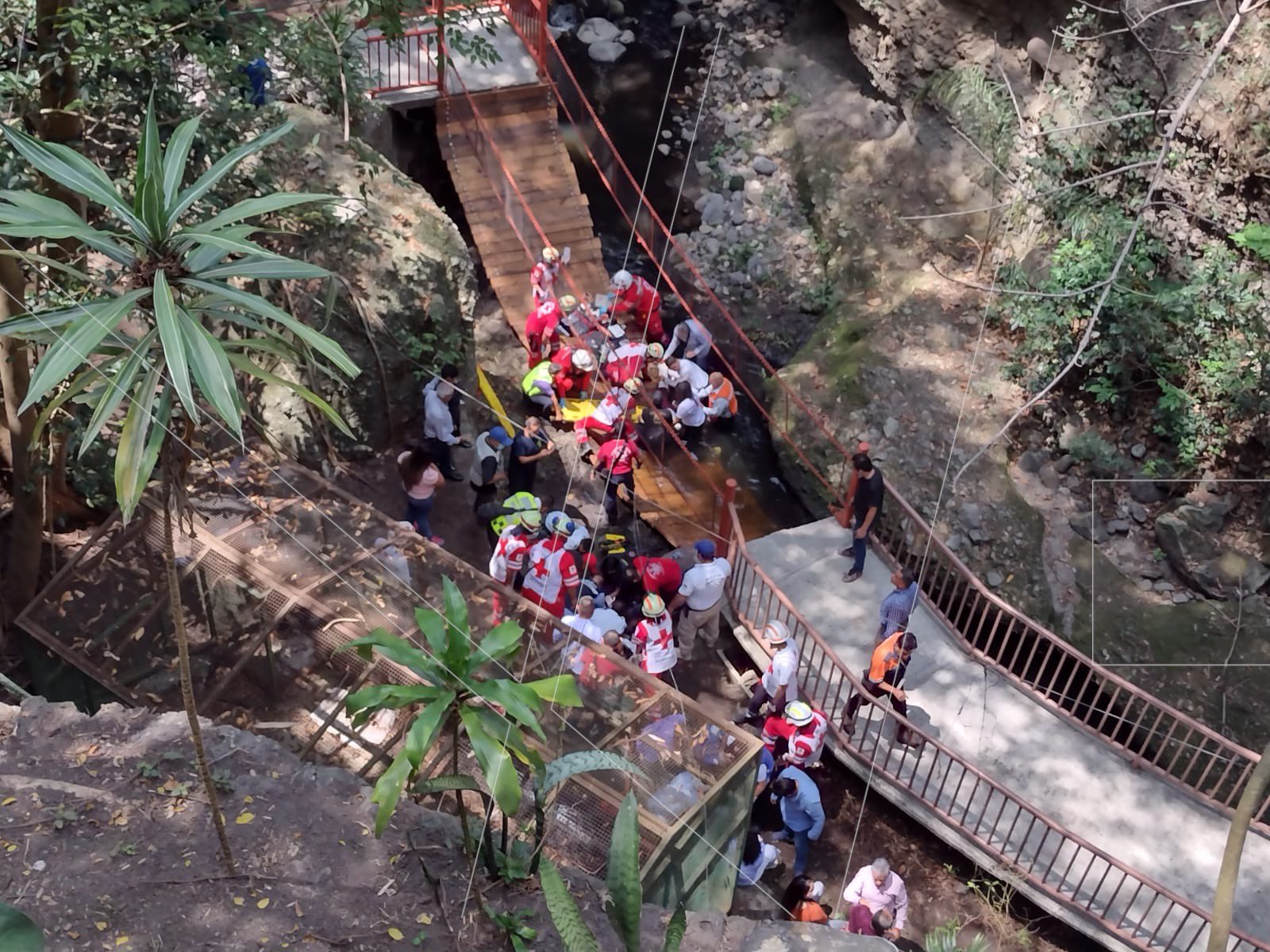 Varios heridos, entre ellos el alcalde de Cuernavaca, tras caer un puente colgante en el Paseo Ribereño (VIDEO)