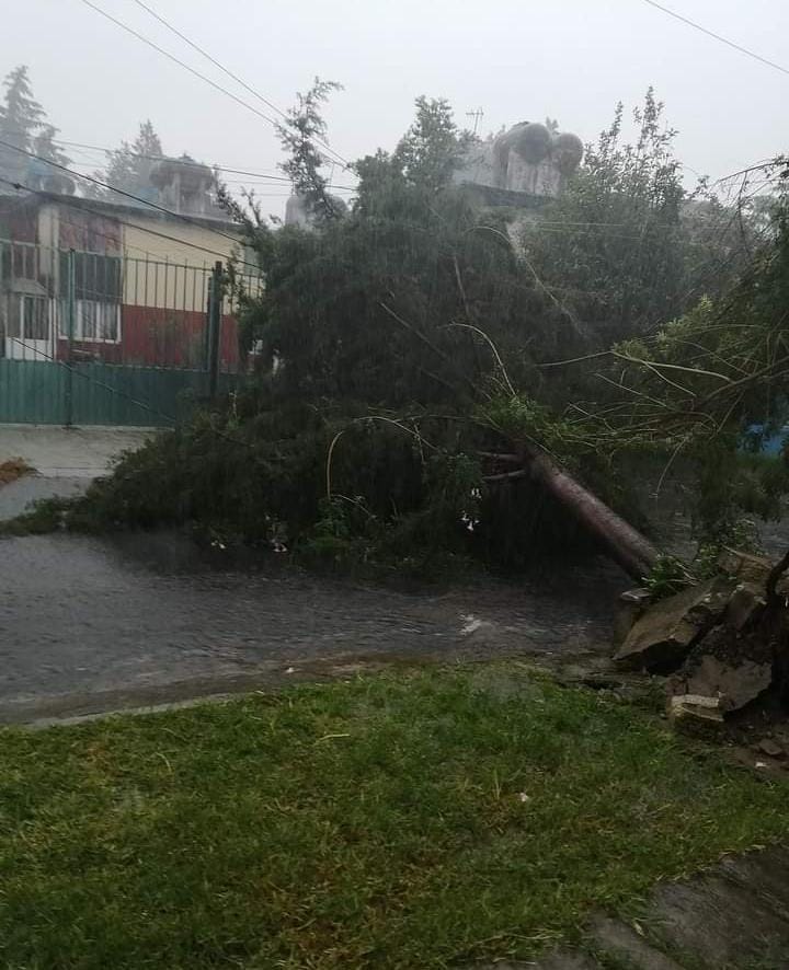 Caída de árboles e inundaciones es el saldo de la fuerte lluvia de este martes (Video)