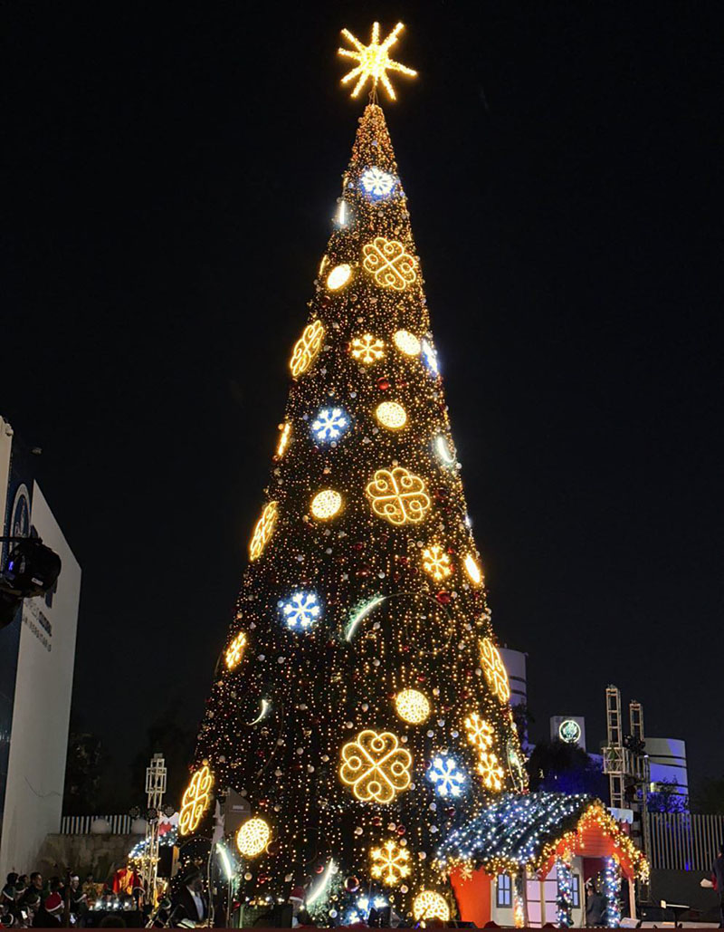 Lilia Cedillo, rectora de la BUAP encendió el tradicional árbol de Navidad en el CCU