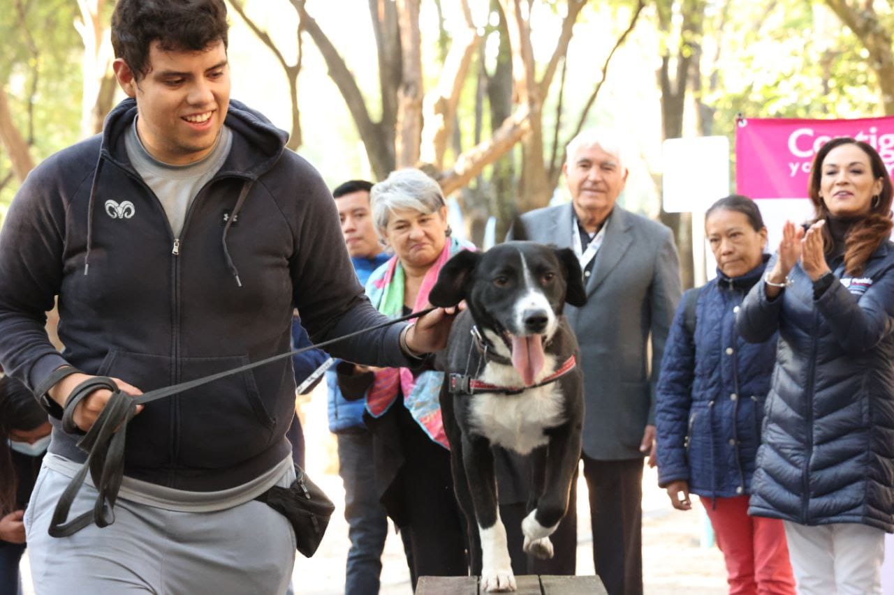 Más de é mil lomitos y gatos serán esterilizados en Puebla capital