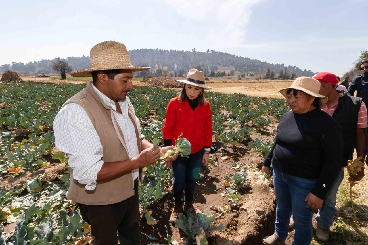 Apoyo al campo Cholulteca es compromiso permanente del Gobierno que encabeza Paola Angon 