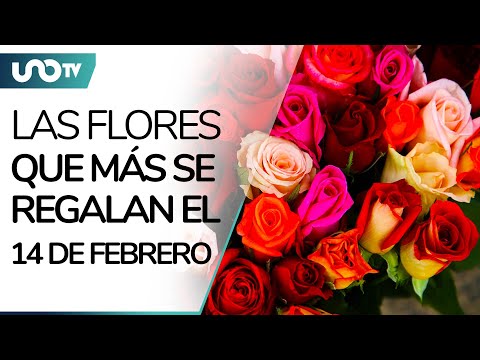 ¿Qué significa cada una de las 5 flores más regaladas este 14 de febrero?
