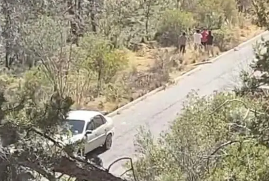 Aparecen 5 muertos con el tiro de gracia en Puebla; los cuerpos fueron abandonados en carretera Libres-Altzayanca