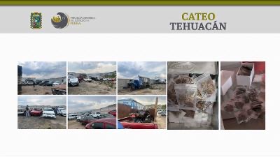 En Tehuacán la FGE aseguró droga y vehículos con reporte de robo