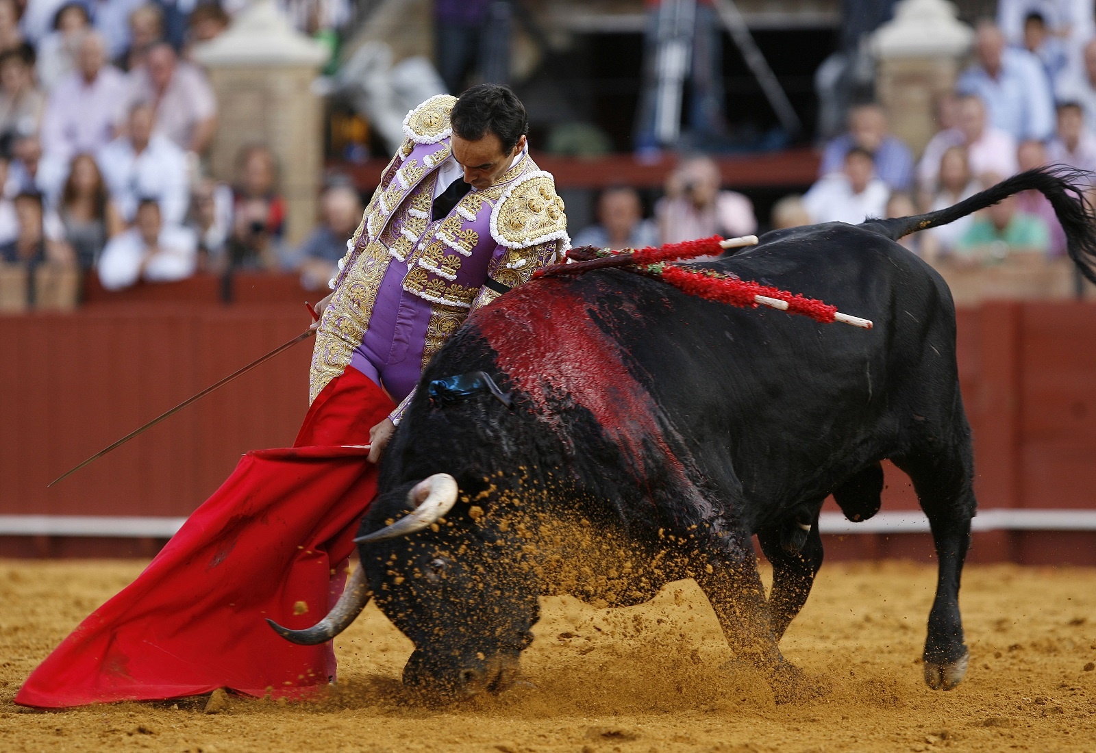 Piden colectivos al Congreso prohibir tauromaquia en Puebla, tras cancelación de corridas en la Feria