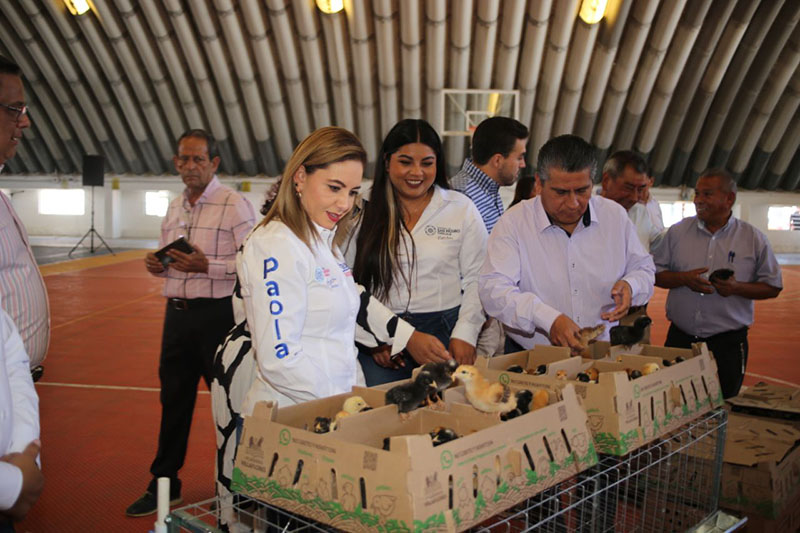 Paola Angon entrega 100 Módulos Avícolas, impulsando la economía de las mujeres cholultecas