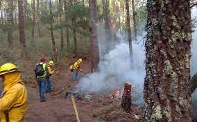 Por incendio forestal evacuan 30 viviendas en el municipio de Zacatlán