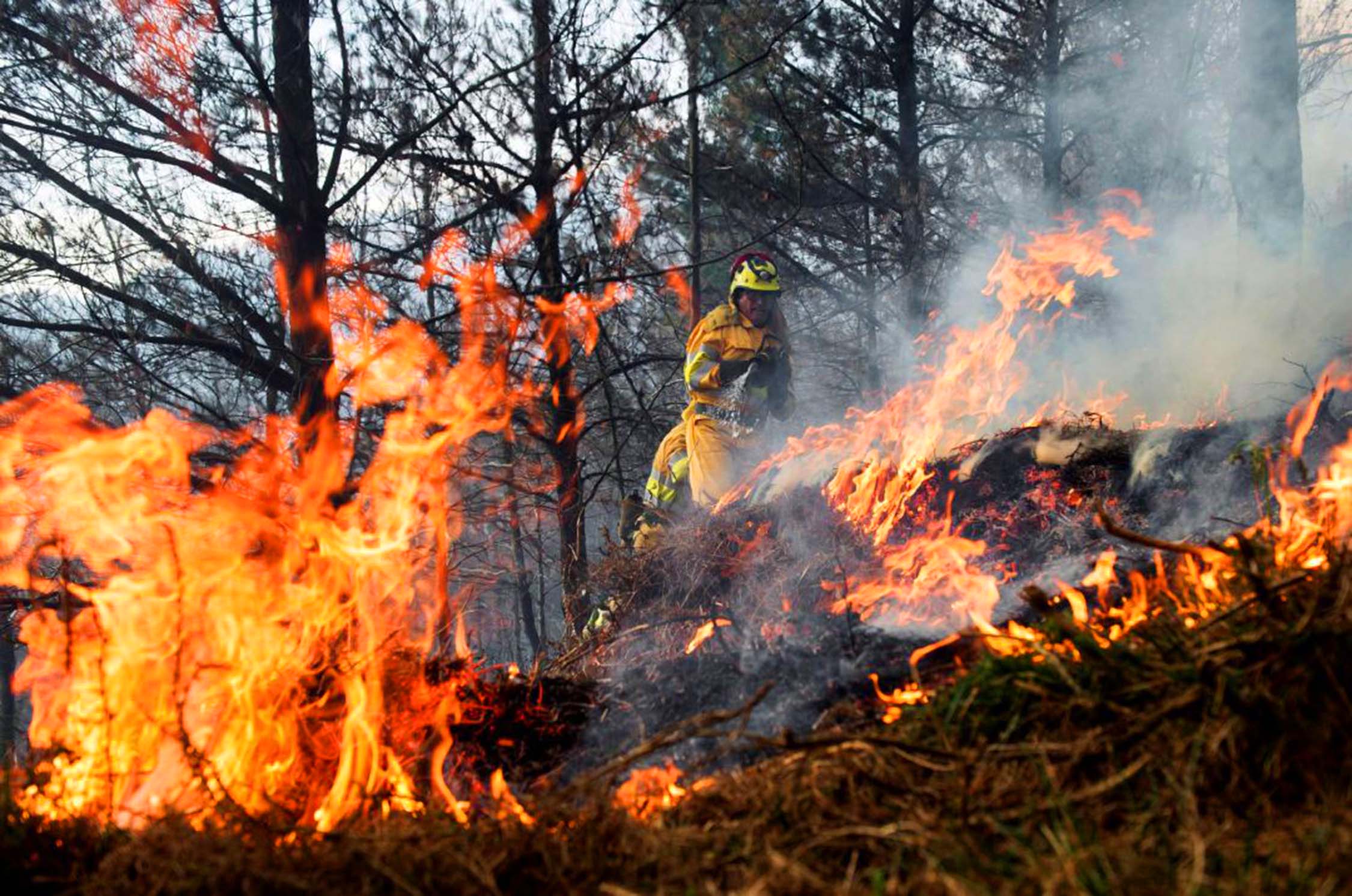 Puebla entre los 10 estados con más incendios forestales