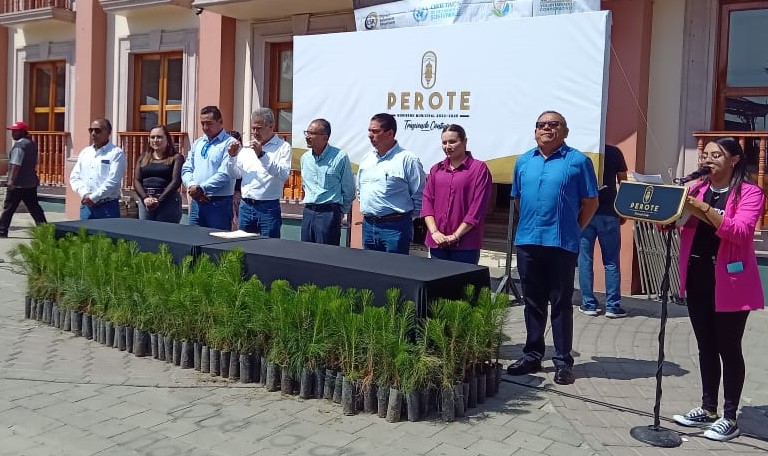 Dona Granjas Carroll 9 mil plantas para reforestación en Perote