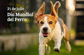 Día Mundial del Perro: cómo y por qué se convirtió en el mejor amigo del humano