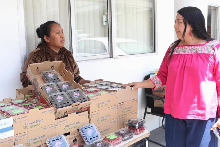 Promueve gobierno de Puebla consumo local de frambuesas y zarzamoras