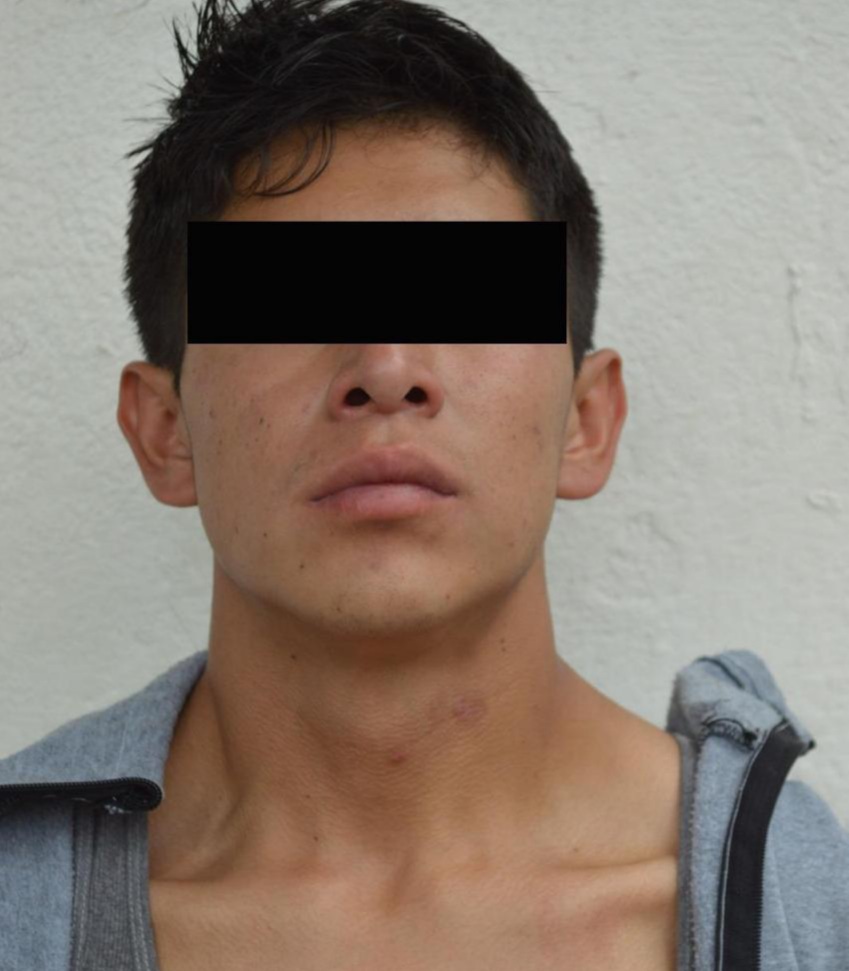 Detienen a dos integrantes de la banda «Los Melchor»