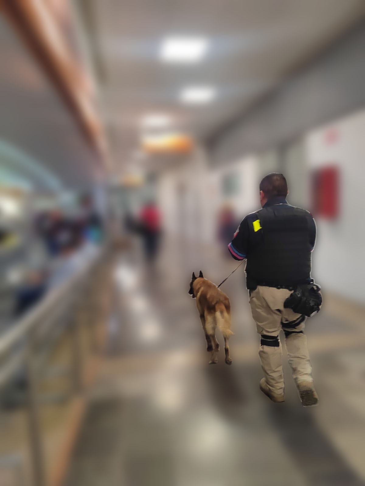 K9 de la Policía Municipal de Puebla decomisa más de 40 kilos de probable droga